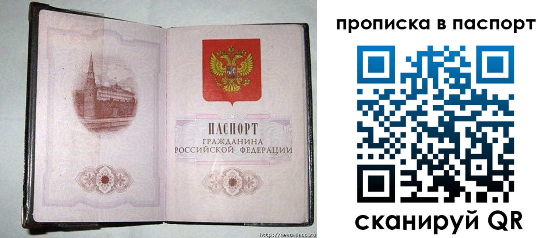 прописка штамп в Сертолово